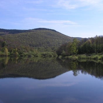 Herfst in de Morvan.jpg